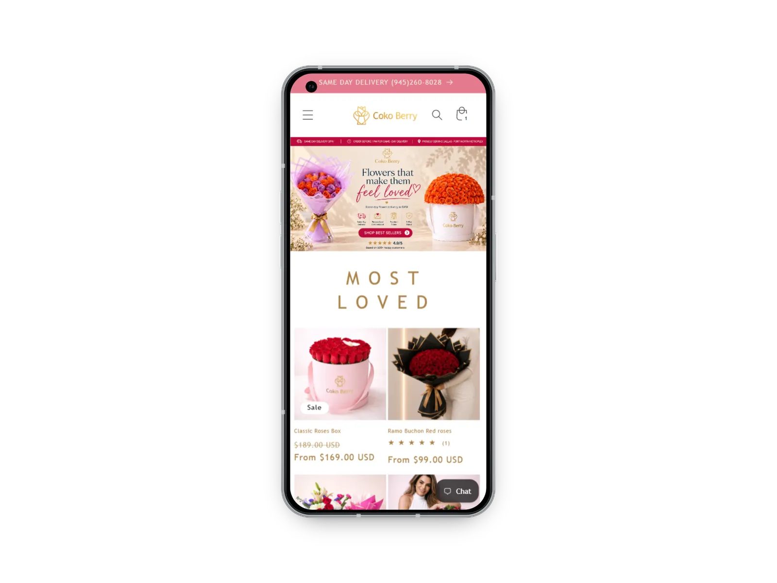 Demo image of the website